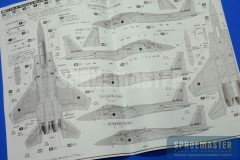 F-15J Platz 013