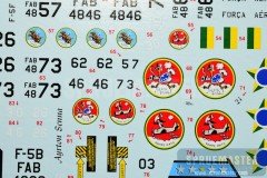 F-5-Tiger-FCM_012