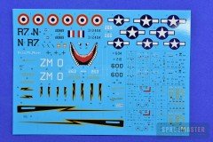F-6C-Mustang_49