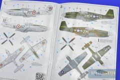 F-6C-Mustang_55