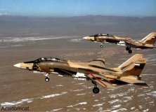 f14_iranian_0013