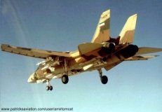 f14_iranian_0017