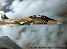 f14_iranian_0018