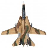 f14_iranian_0037