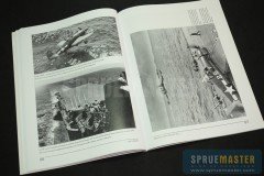 F6F Hellcat  005.jpg