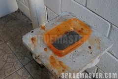ferrugem_05