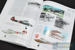 fi-156-storch-009