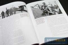 osprey_015