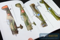 osprey_016