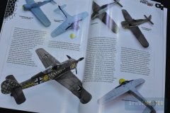 Fw-190-10