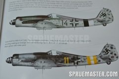 fw-190-valiant_005