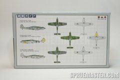 fw-190_03