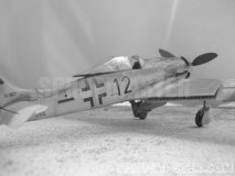 FW_190_Trimaster_29_Clique_para_ampliar