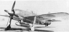 n1k-24