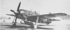 n1k-8s