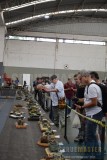 GPC-2017-004