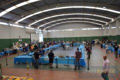XXII-OPEN-GPC-113