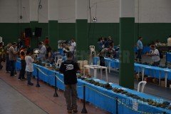 XXII-OPEN-GPC-117
