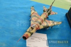 gppsd-2012_054