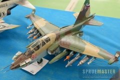 gppsd-2012_055