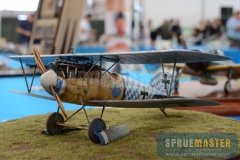 gppsd-2012_061
