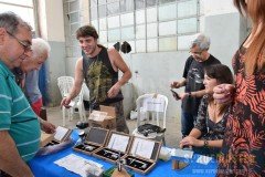 GPPSD-2017-245