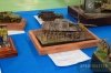 Open GPPSD 2014  246