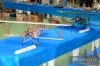 Open GPPSD 2014  288