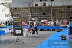 GPPSD-2017-006