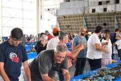 GPPSD-2017-048