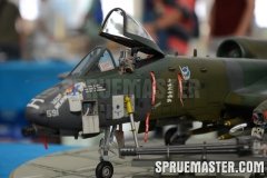 gppsd_18