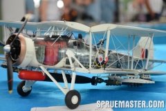 gppsd_185