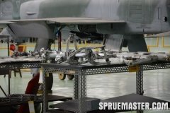 gppsd_193