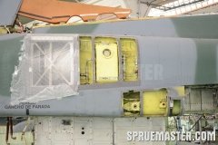 gppsd_199