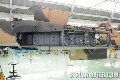 gppsd_207