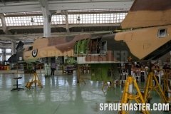 gppsd_218