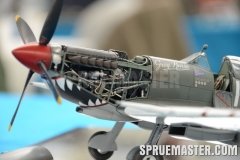 gppsd_236