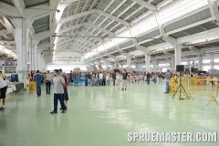 gppsd_248