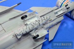 SAAB GRIPEN  008.jpg