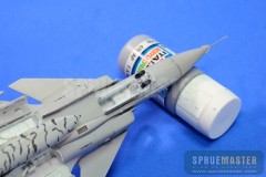 SAAB GRIPEN  009.jpg