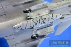 SAAB GRIPEN  014.jpg