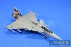 SAAB GRIPEN  020.jpg
