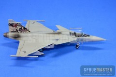 SAAB GRIPEN  021.jpg