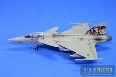 SAAB GRIPEN  022.jpg