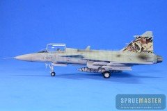 SAAB GRIPEN  023.jpg