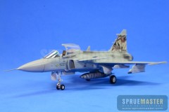 SAAB GRIPEN  024.jpg