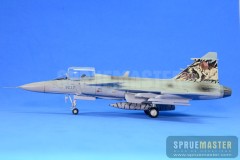 SAAB GRIPEN  027.jpg