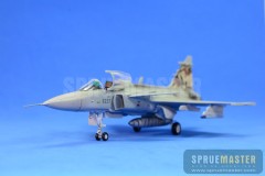 SAAB GRIPEN  028.jpg