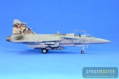 SAAB GRIPEN  029.jpg