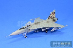 SAAB GRIPEN  032.jpg